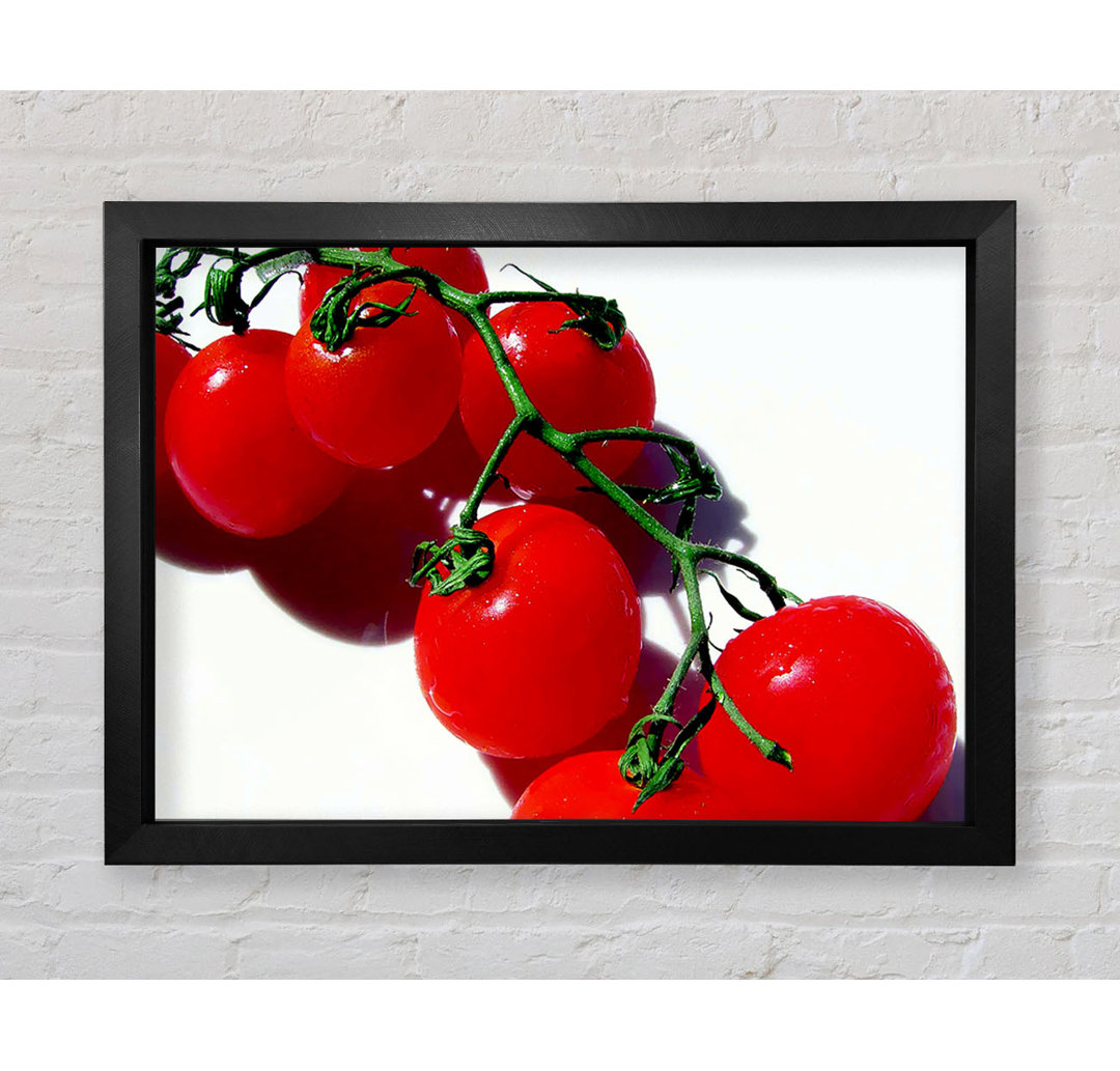 Red Cherry Tomato Vine - Einzelner Bilderrahmen Kunstdrucke