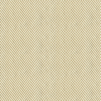Solarium Volume I Avignon Chevron Fabric