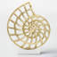 Sculpture 14 po Nautilus Shell