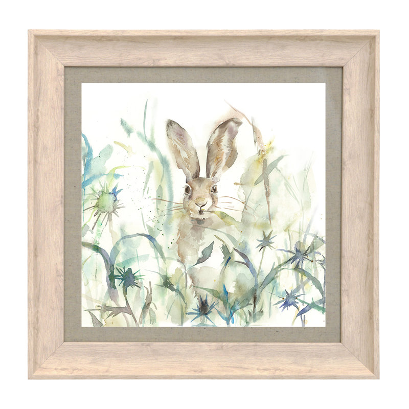 Jack Rabbit - Single Picture Frame Print