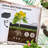 Shanav Raised Garden Bed-182256227-165270289