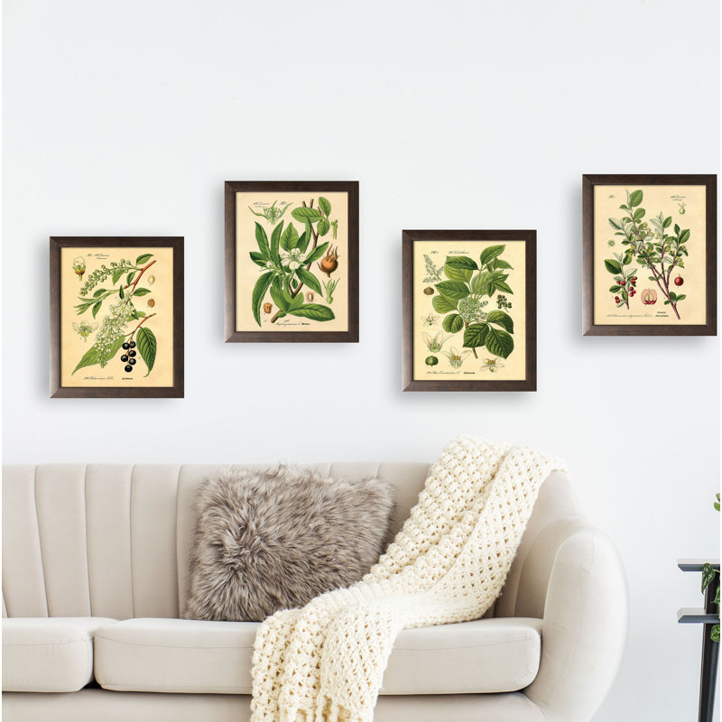 «Popular Old-Fashioned Plant Botanical», ensemble de 4 reproductions d'impressions, H 12 po x l 10 po, Papier avec cadre brun