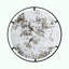 Miroir Theodor D31.5x0.5 "