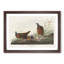 Blue Headed Pigeons by John Audubon - Picture Frame Painting Print-55544182-55544185