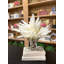 Arrangement floral Pampas dans un vase-1457981616-1457981617