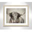 Grand Kyloe Bull - reproduction de cadre photo-64010237-64010247