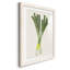 Organic Veg II - ensemble de 3 reproductions de cadres photo-974140468-974140459