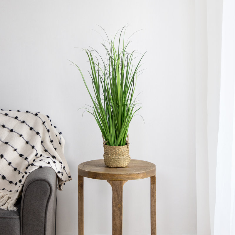 25" Green Artificial Onion Grass in Woven Basket