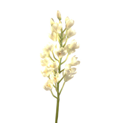 Arrangement