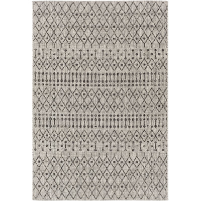 Hongming Indoor / Outdoor Rug
