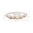 Bequette Resin Polyresin Coastal Decorative Clam Shell Bowl with Sculptural Wavy Rim - Elegant Modern Accent Bowl for Display or Storage - Stylish Textured Centerpiece for Home Decor-1766602600
