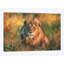 «Lion at Sunset» par David Stribble, impression sur toile tendue-33109516-72406852-72406858