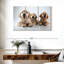 Brampt Golden Retriever de Brampt-108064775