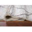 Tapis oriental marocain Trellis 5 x 8