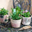 Pot de fleurs en terre cuite