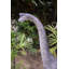 Dinosaure brachiosaure