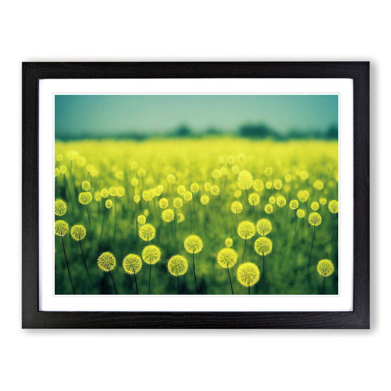 Dandelion Field Vol.2 - Single Picture Frame Print, Black, 46cm H x 64cm W x 2cm D