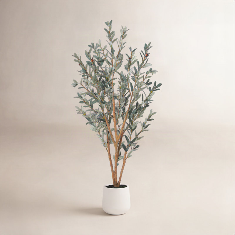 Faux olivier Adcock avec pot ovale blanc, H 72 po x l 24 po x P 24 po