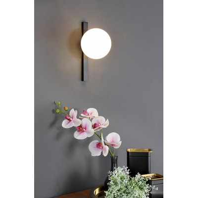 Limaville Plug-in Armed Sconce