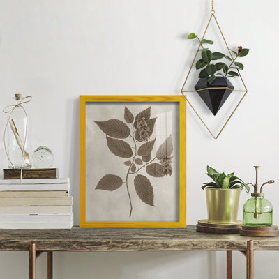 Arbor Speciment II, reproduction d'art encadrée