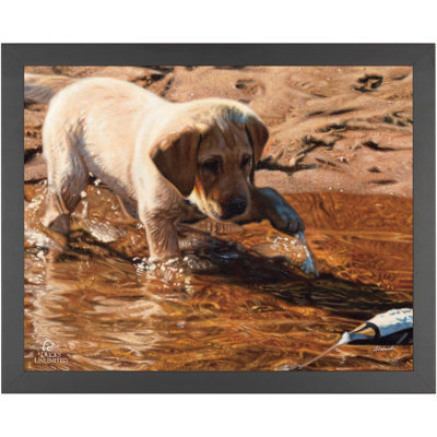 «Piddle Paddle Pup», 11 po x 14 po, impression sur papier avec cadre noir