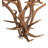 Jamius 8 - Light Steel Chandelier