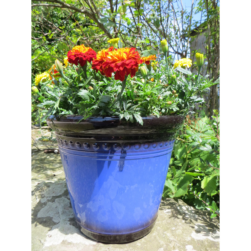 Fairview Pot Planter, 34cm H x 40cm W x 40cm D, Mahogany