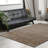 Benson Oriental Indoor Rug-17250409