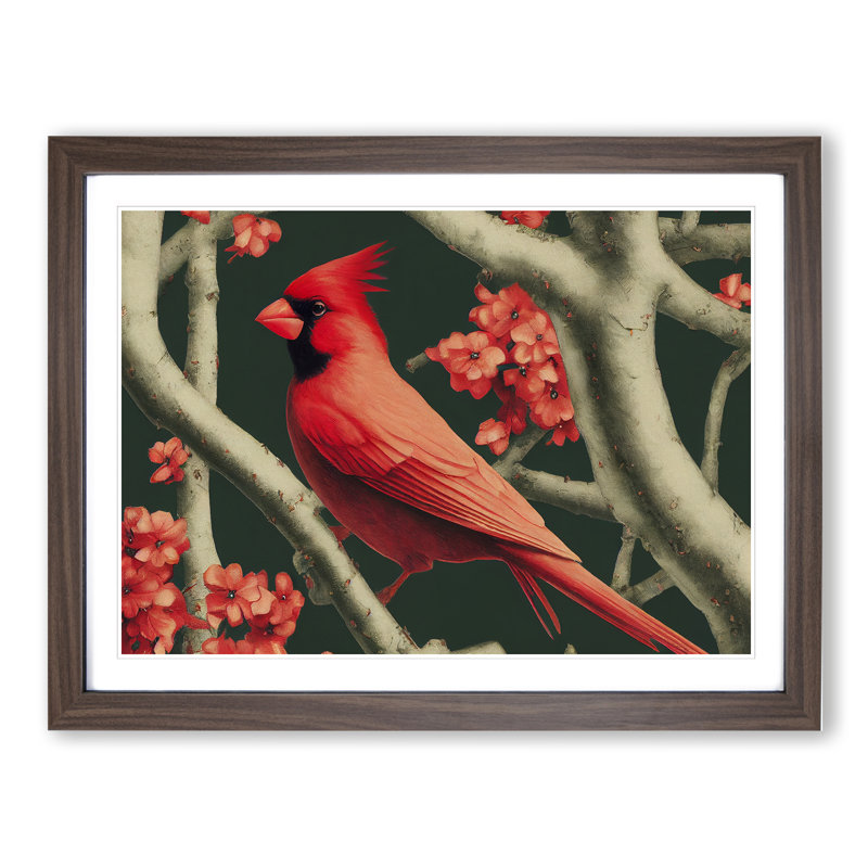 Cardinal Bird Vol.14 - Single Picture Frame Print, 25cm H x 34cm W x 2cm D, Walnut Framed