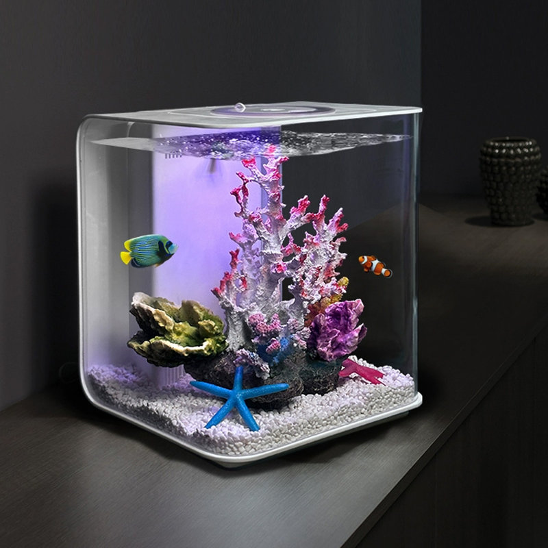 Acrylic Desktop Fish Tank