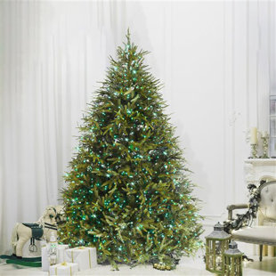 Lighted Christmas Tree