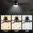 Ceiling Fan with LED Lights