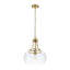 Luminaire suspendu simple en forme de dôme en verre transparent industriel 1 lumière 14 po