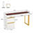 Sellma Tempered Glass Iron Computer Desk
