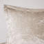 Ensemble d'édredon en velours luxueux avec coussin décoratif doux pour le confort et le style-119071423-119071422