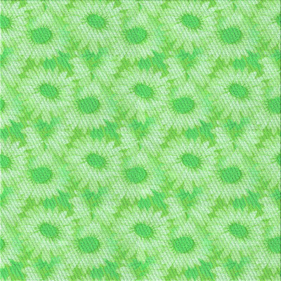Performance Wool Floral Indoor Rug