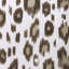 Leopardos-407389384
