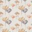Blush/Honey/Dove