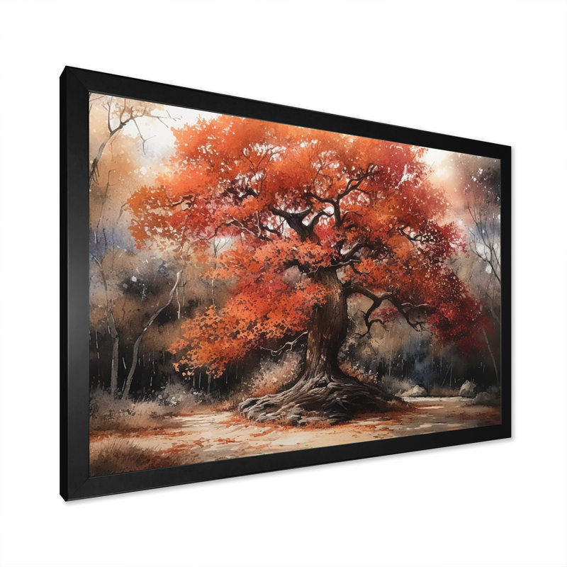 «Cirillo Fall Foliage Tree In The Woods II», reproduction sur toile, Cadre simple noir, H 12 po x l 20 po x P 1 po