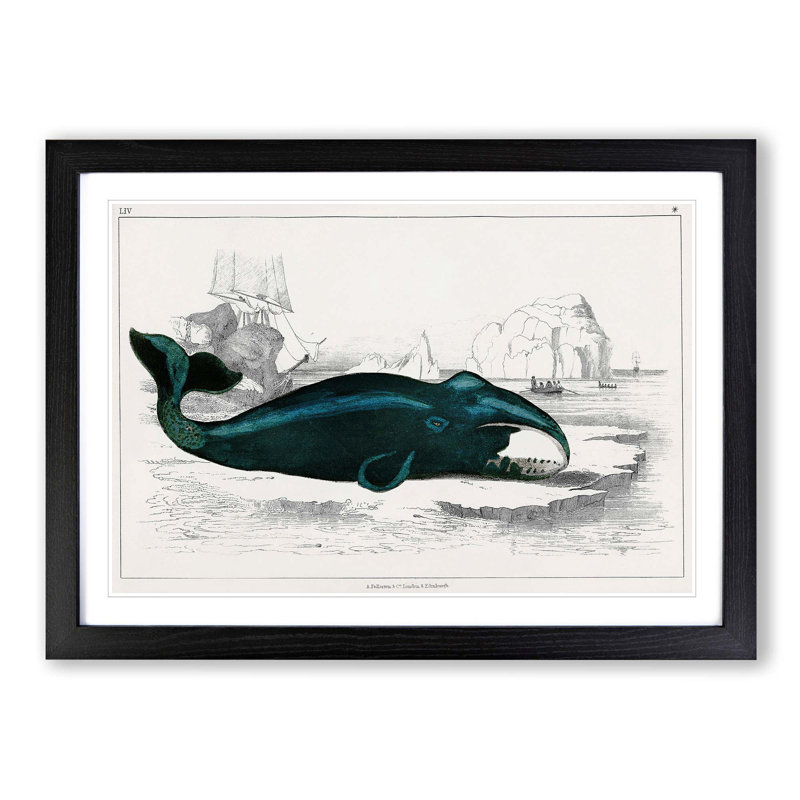 Beached Whale by Oliver Goldsmith - Single Picture Frame Painting, 33cm H x 45cm W x 2cm D, Black Framed