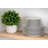 Wayfair Basics® 7.5" Salad or Dessert Plate