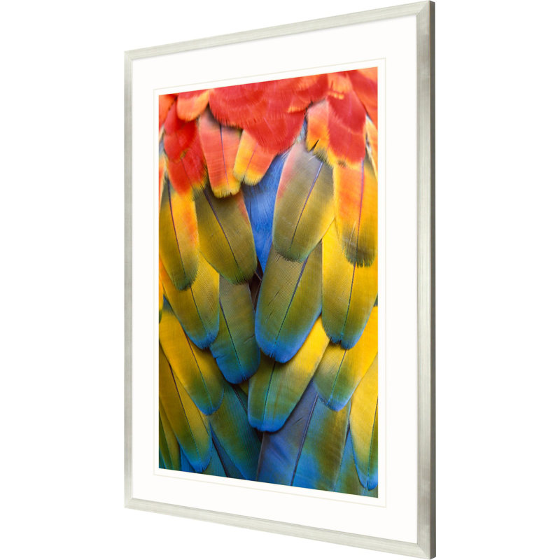 Vibrant Scarlet Macaw Feather Print with Silver Leaf Frame