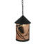Rustic Lodge 1 - Light Pendant-16183435