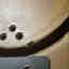 Photos des clients 5 de 6