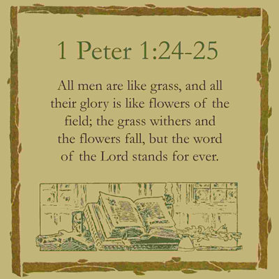 " Peter "