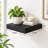 1 Piece Floating Shelf-538051368