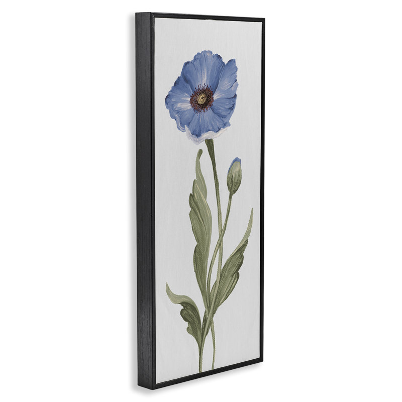 «Blooming Blue Poppy», estampe numérique par Elizabeth Medley, Noir, H 24 po x l 10 po