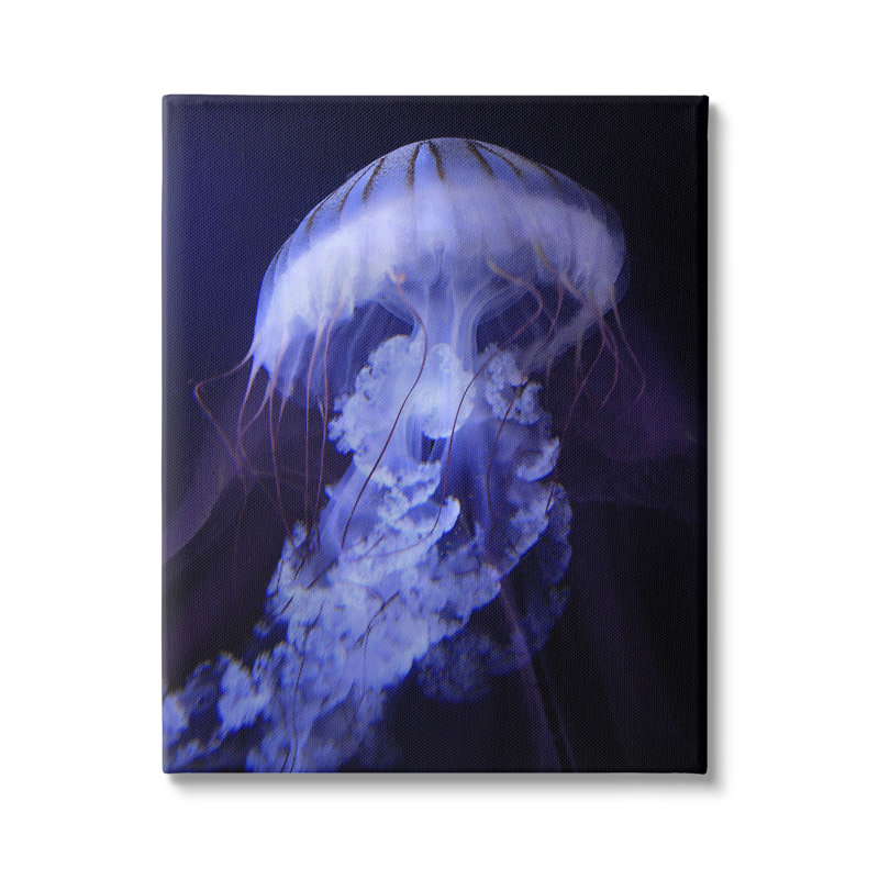 «Magical», détaillé, méduse, océan, vie marine, par Steve Hunziker, L 30 po x H 40 po, Toile tendue