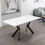 Ferro Beech Dining Table-105634103