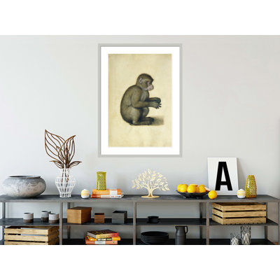 «A Monkey» par Albrecht Dürer, impression giclée sur cadre